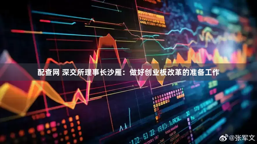配查网 深交所理事长沙雁：做好创业板改革的准备工作
